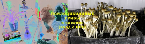 ALPHA PVP Лагань
