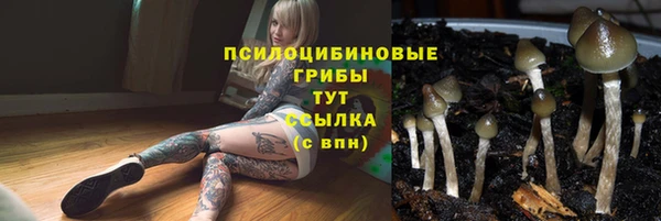 mdpv Лабытнанги