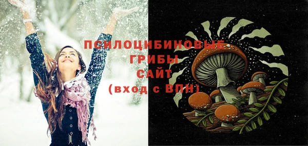 mdpv Лабытнанги