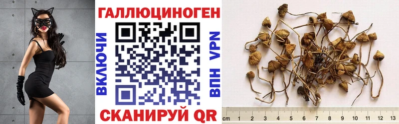 гидра tor  Шумиха  Галлюциногенные грибы ЛСД 